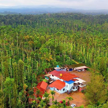 New Organic Home Stay Mudigere Екстериор снимка