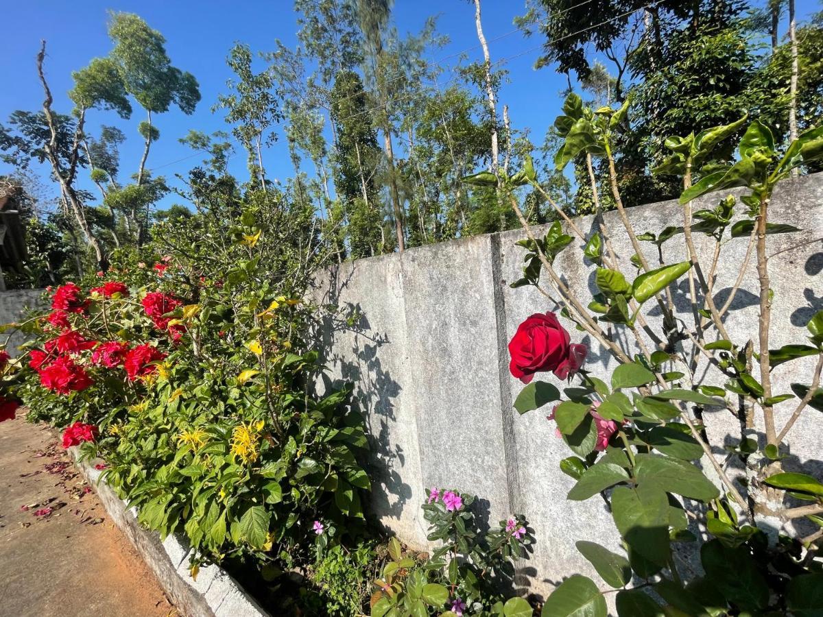New Organic Home Stay Mudigere Екстериор снимка