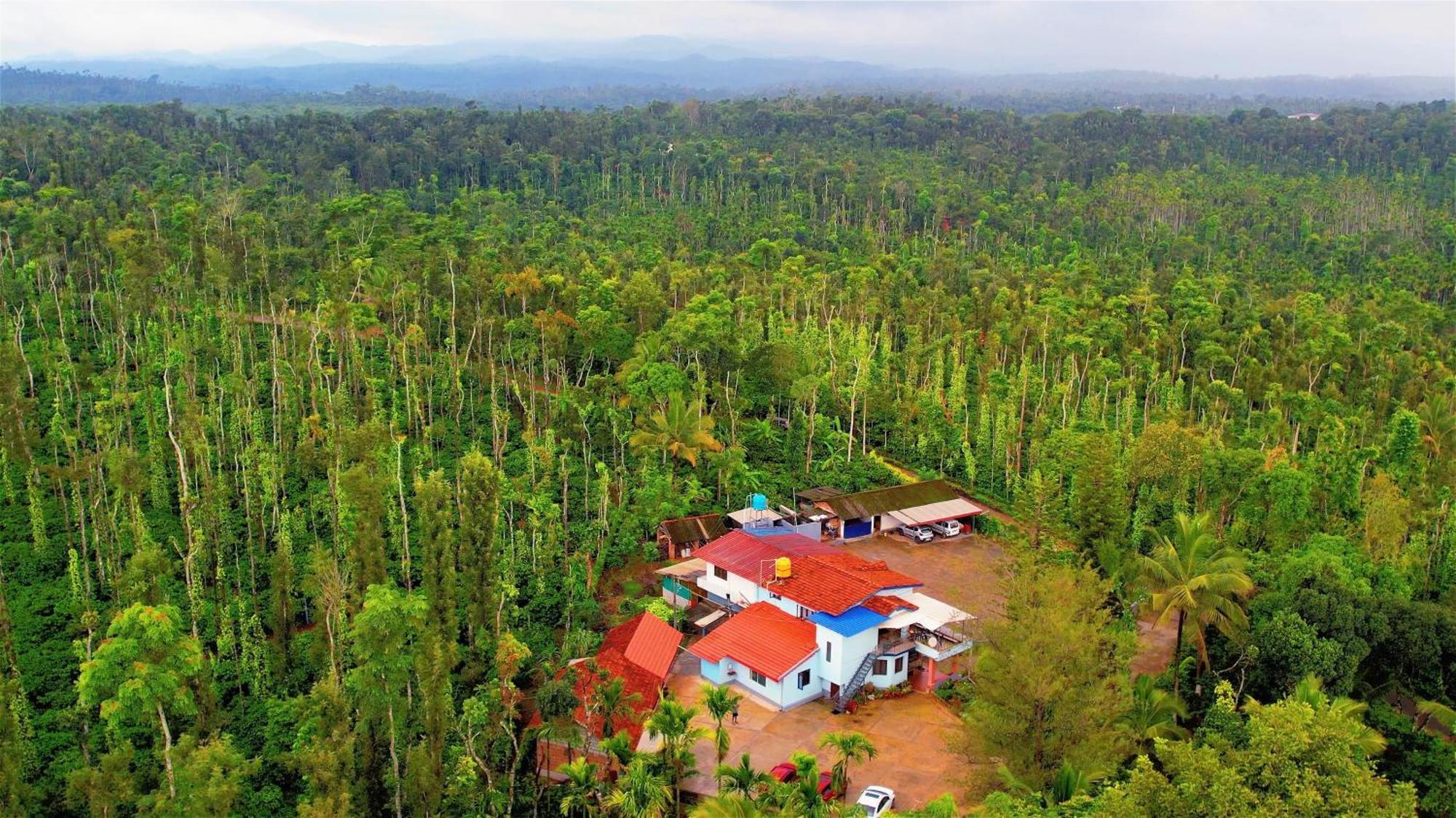 New Organic Home Stay Mudigere Екстериор снимка